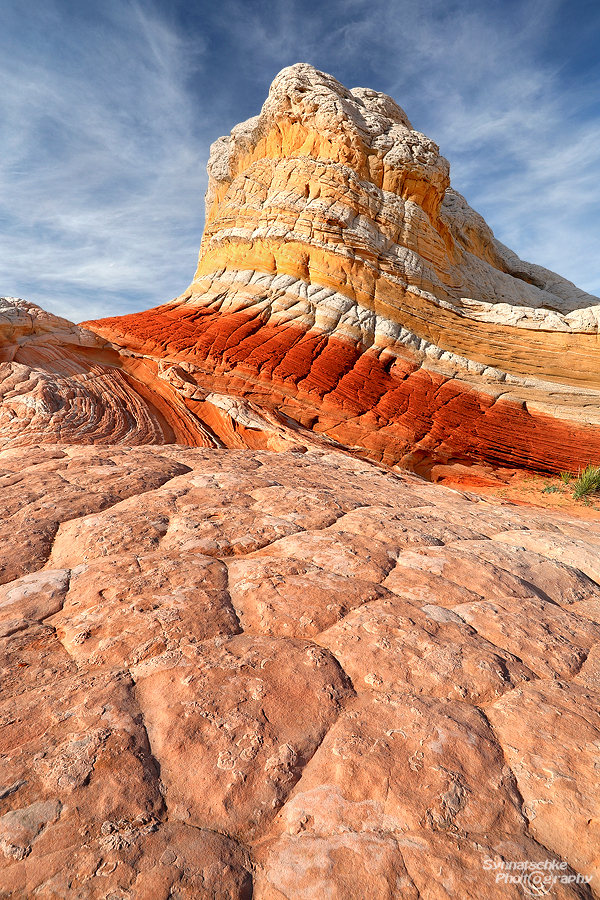 Lollipop in sunlight