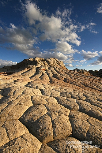 White Pocket Checkerboard Mesa