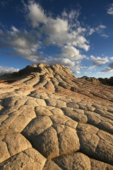 White Pocket Checkerboard Mesa