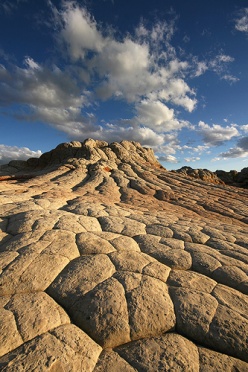 White Pocket Checkerboard Mesa