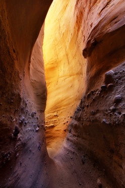 Slot canyon in the Anza-Borrego Desert