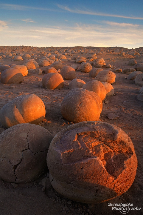 Pumpkin Patch