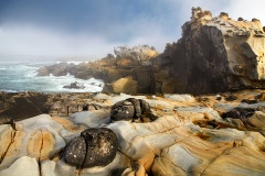 Rocks at Salt Point State Park