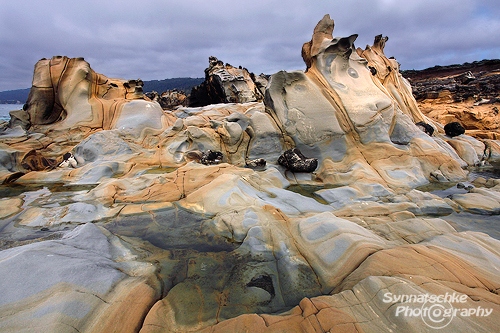 Sandstone - Salt Point State Park