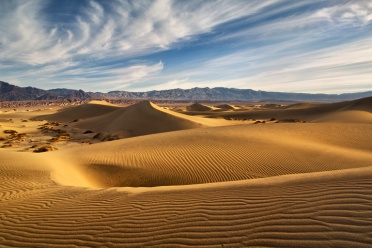 Golden Mesquite Dunes