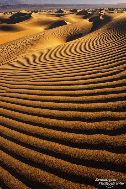 Mesquite Sand Dunes