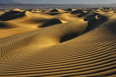 Sand Dunes Morning