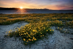 Sunset at Soda Lake