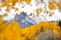 The Castles seen through foliage