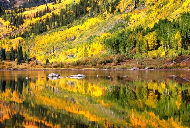 Fall Foliage Reflection