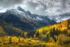 Mount Sneffels Aspens
