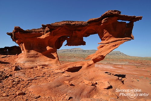 Heart Arch