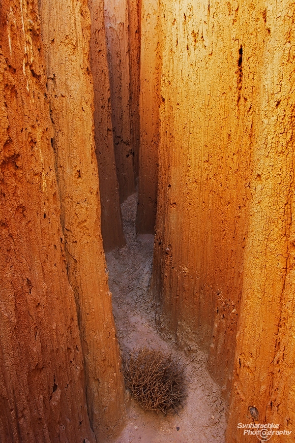 Cathedral Gorge Caves