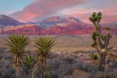 Red Rock Canyon