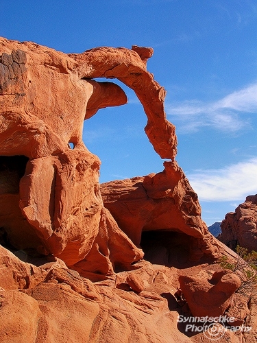 Ephemeral Arch