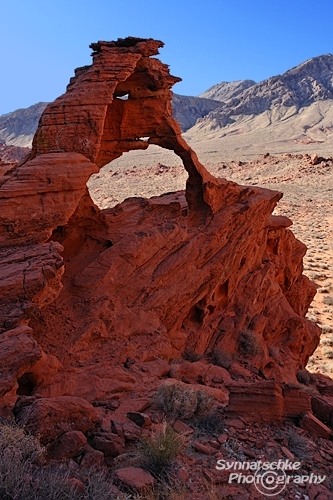 Pagoda Arch