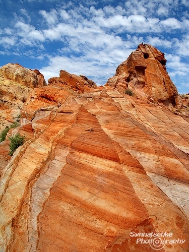 Striped Rocks