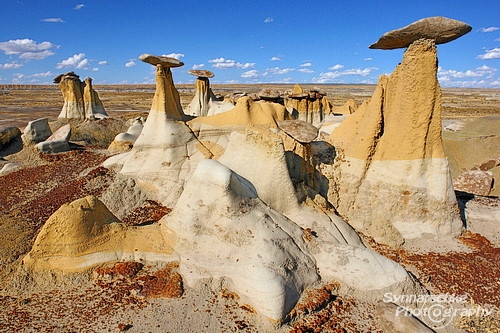 Yellow Hoodoo Gang