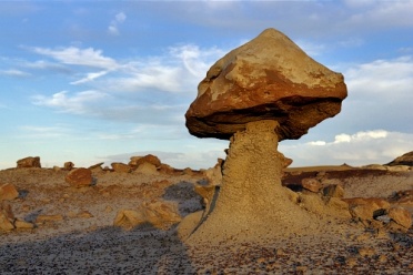 Mushroom in Stone