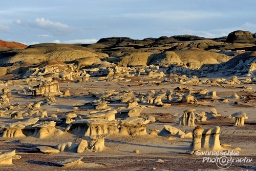 Sandstone Creatures