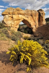 Arch Rock