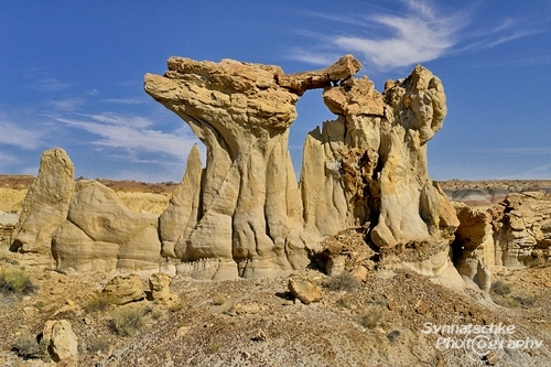 Petrified Wood Arch