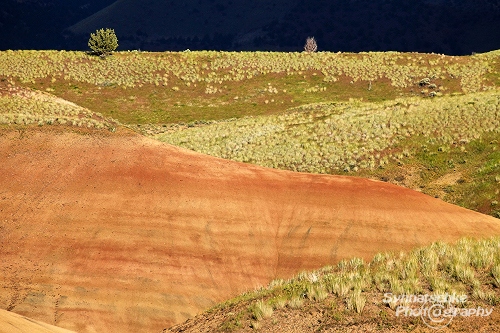 Painted Hills Grassland