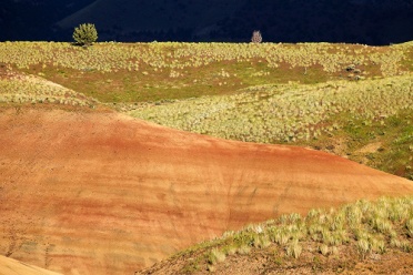 Painted Hills Grassland