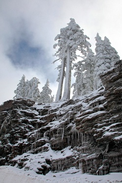 Icicles at Crater Lake NP