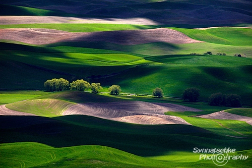 Palouse Fields on a Cloudy Day