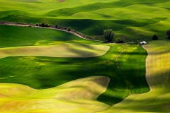 Shoe of Palouse