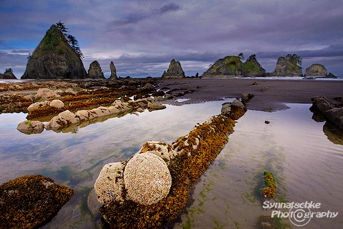 Balls of Shi Shi Beach