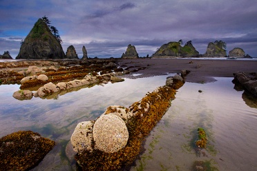 Balls of Shi Shi Beach