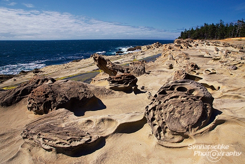 Cracked Eggs on the Beach