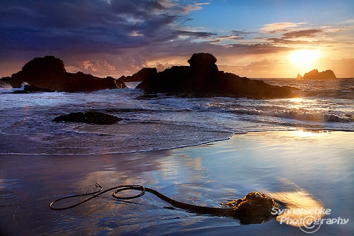 Harris Beach Sunset