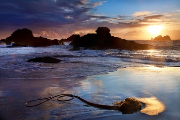 Harris Beach Sunset