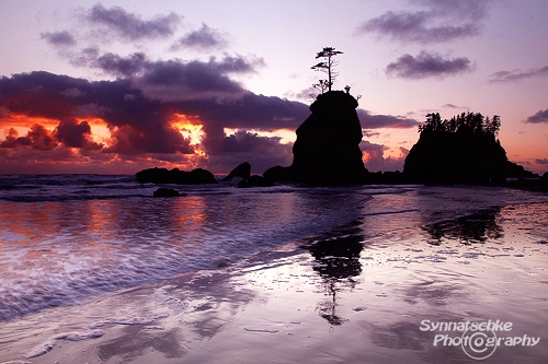 Lonesome Sea Stack