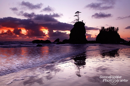 Lonesome Sea Stack