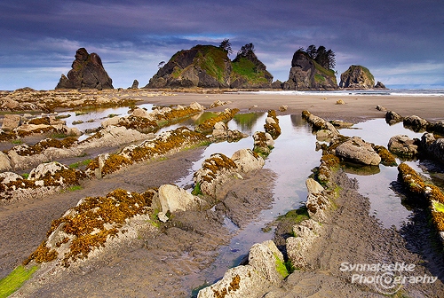 Point of Arches Sunrise