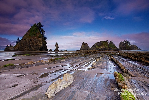 Shi Shi Beach Sunrise