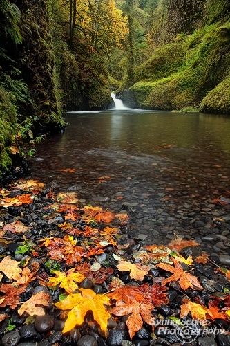 Autumn in the Gorge