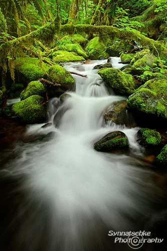 Columbia River Gorge Arch