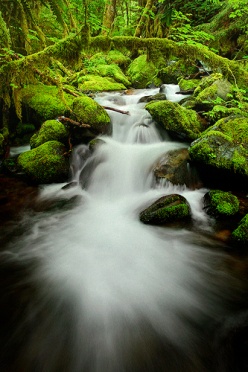 Columbia River Gorge Arch