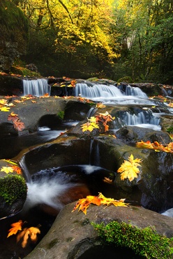 Fall Cascades