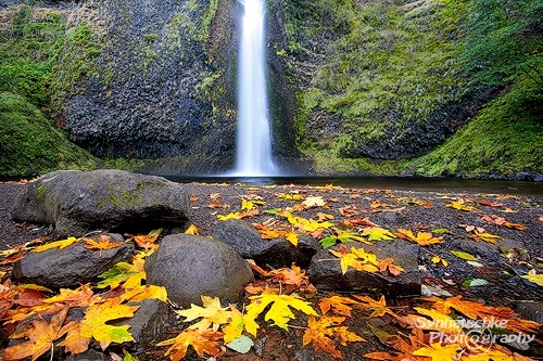 Fall in the Gorge