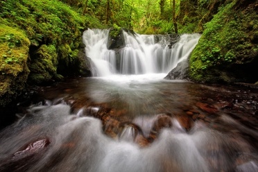 Gorton Creek Falls