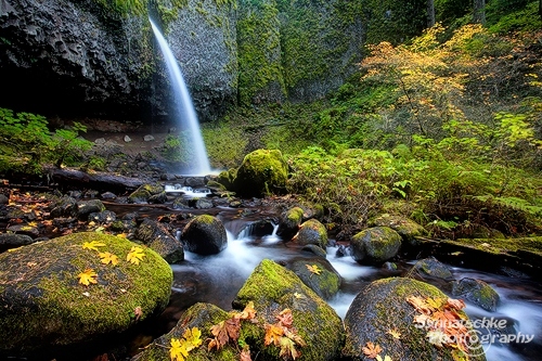 Ponytail Falls in Autumn