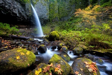 Ponytail Falls in Autumn