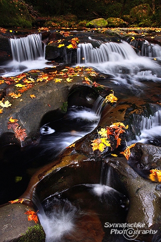 Small Cascades Fall