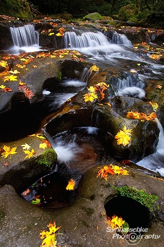 Small Cascades in Fall